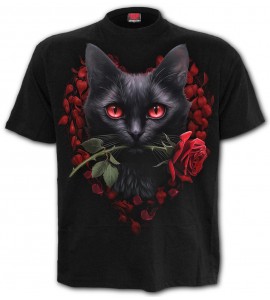 T Shirt Chat Cat's Love